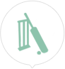 cricket-icon